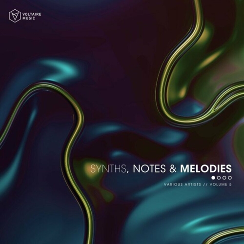 VA - Synths, Notes & Melodies Vol 5 [VOLTCOMP1281]